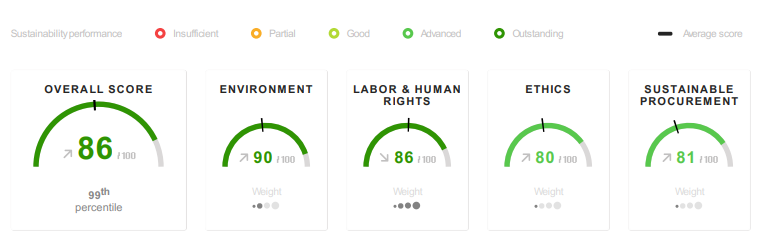 Ecovadis score