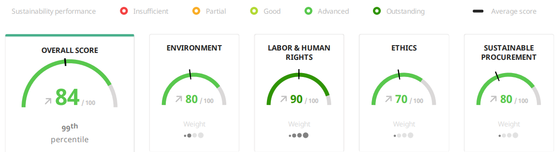 Ecovadis score