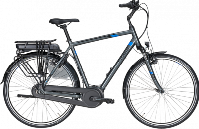 Pegasus E-Bike